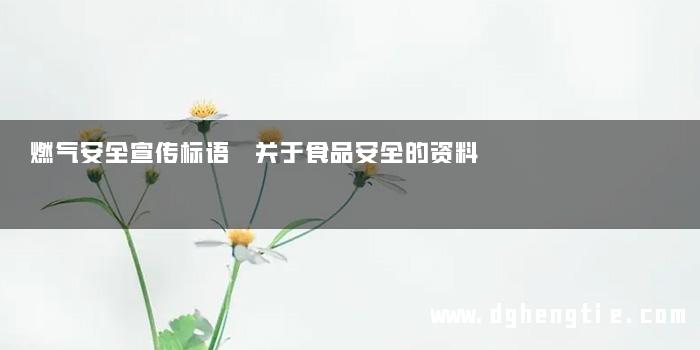 燃气安全宣传标语 关于食品安全的资料